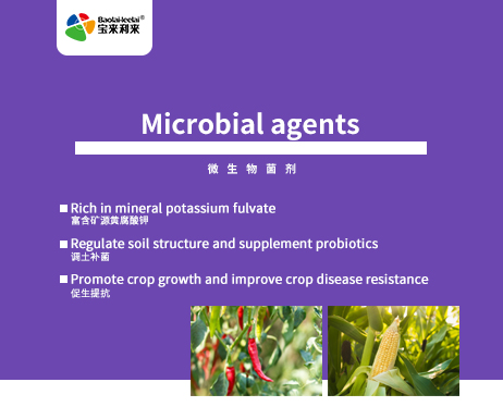 Microbial agents suitable for crops