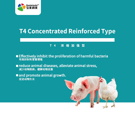 T4 Concentrated Reinforced Type