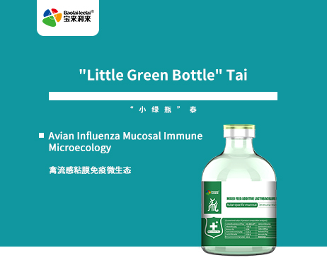 "Little Green Bottle" Tai