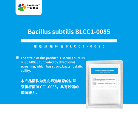 Bacillus subtilis BLCC1-0085