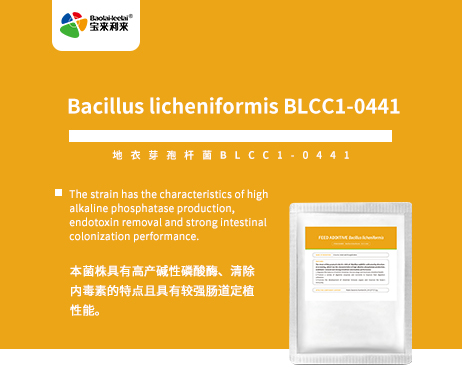 Bacillus licheniformi BLCC1-0441