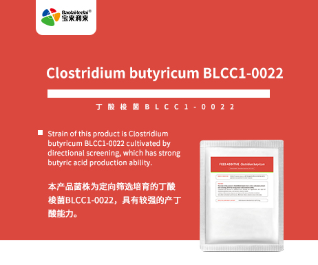 Clostridium butyricum BLCC1-0022