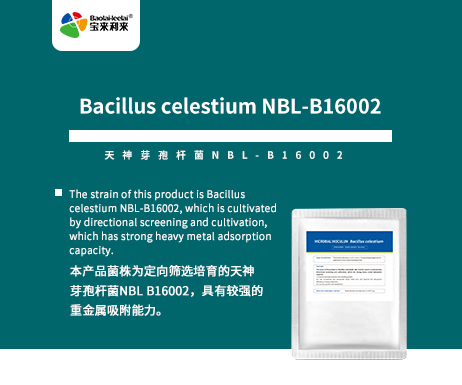 Bacillus celestium NBL-B16002